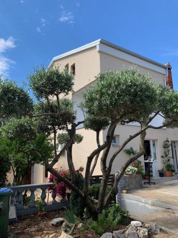 Taverna Coctel Porec Bagian luar foto